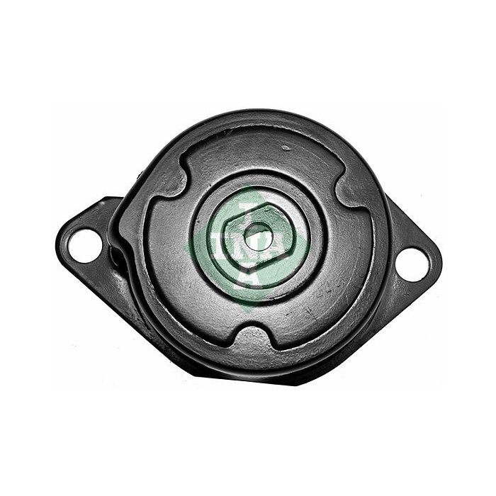 INA Spannarm, Keilrippenriemen 534034510