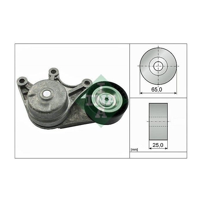 INA Spannarm, Keilrippenriemen 534053510