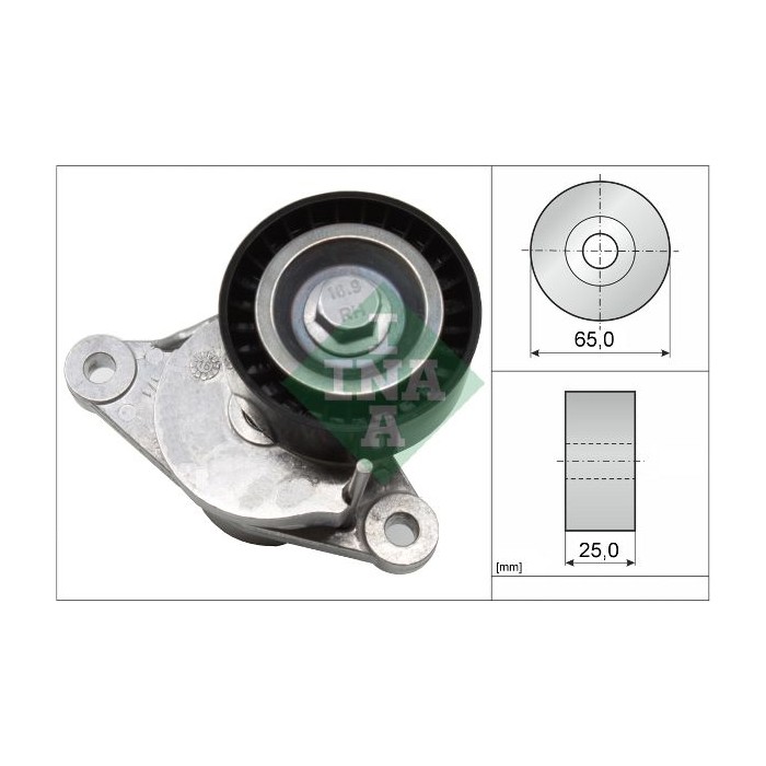 INA Spannarm, Keilrippenriemen 534065510