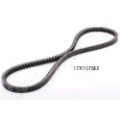 JAPANPARTS Keilriemen DT-17X1075LI