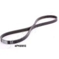 JAPANPARTS Keilrippenriemen DV-4PK0855