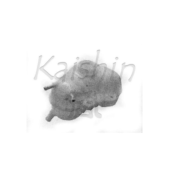 KAISHIN Kühler, Motorkühlung 96182279