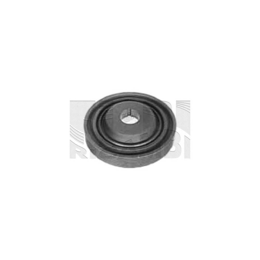 KM International Riemenscheibe, Kurbelwelle FI16230