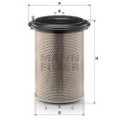 MANN-FILTER Luftfilter C30880/2