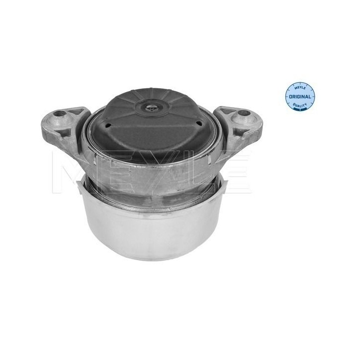 meyle: Lagerung, Motor 0140240169