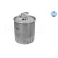 meyle: Kraftstofffilter 0143230012