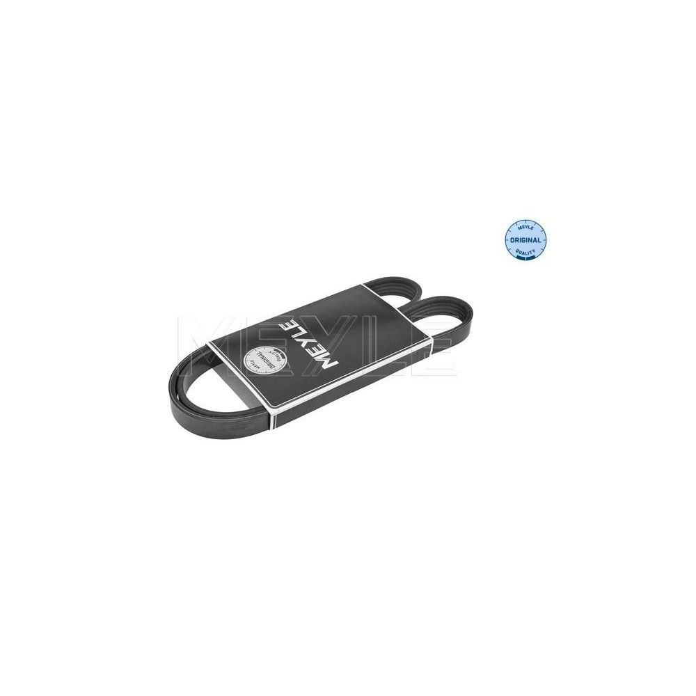 meyle: Keilrippenriemen 0500050962