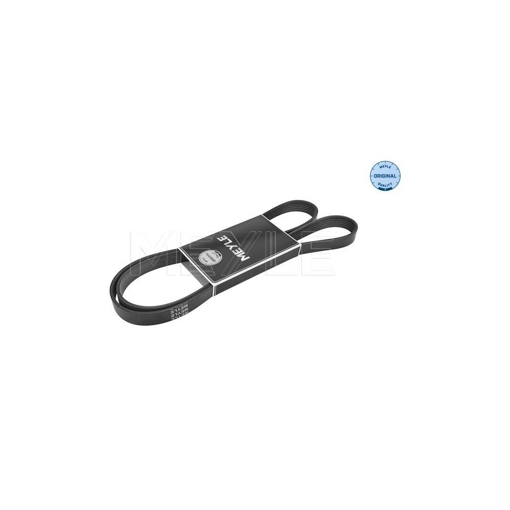 meyle: Keilrippenriemen 0500061725