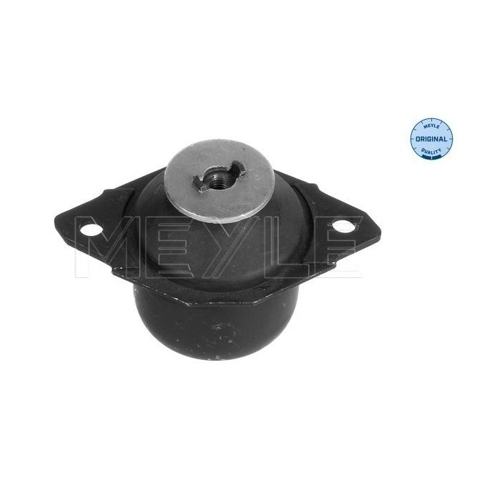 meyle: Lagerung, Motor 1001990028