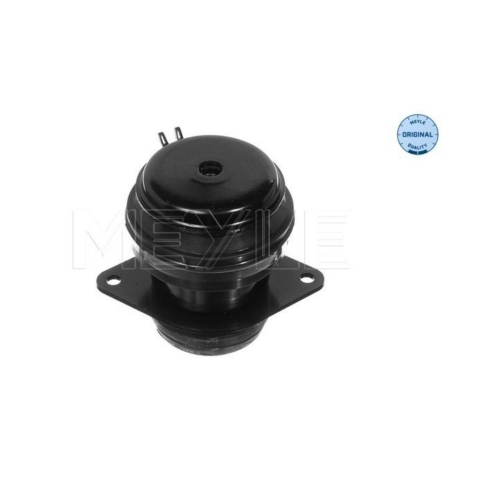 meyle: Lagerung, Motor 1001990037