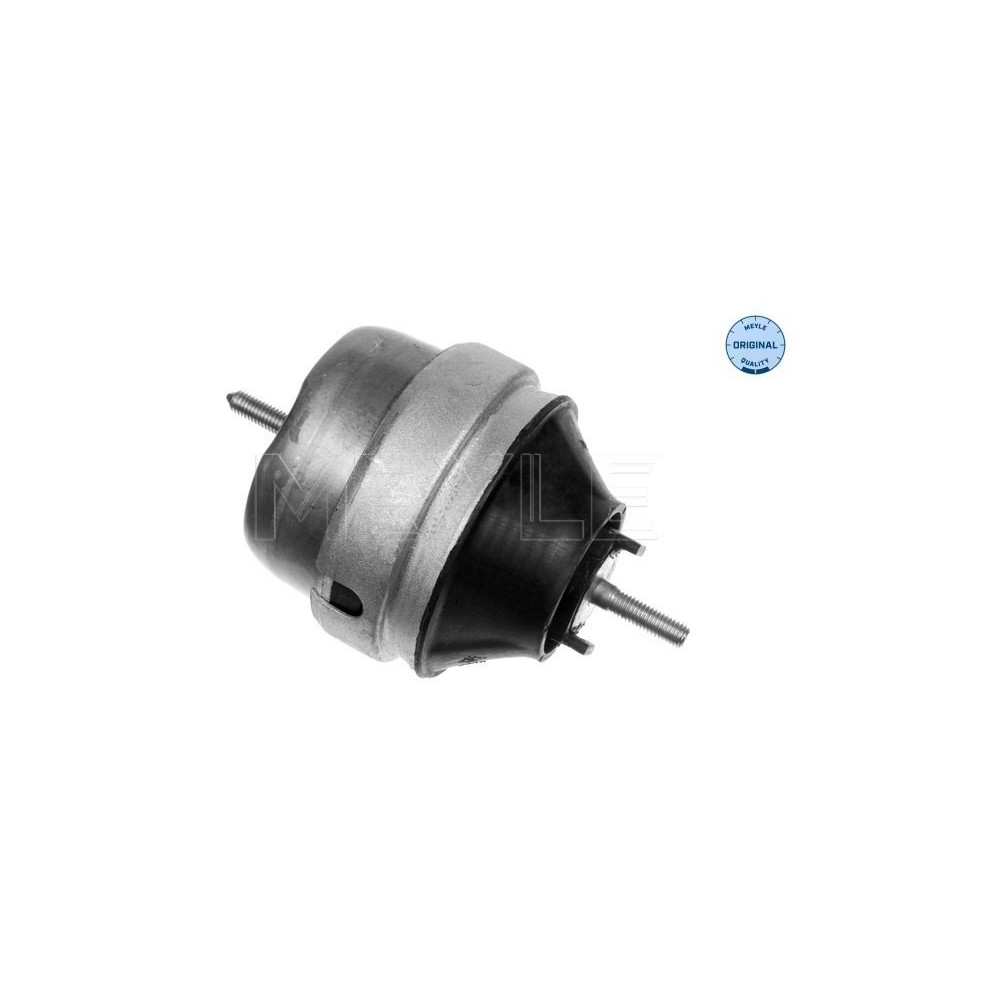 meyle: Lagerung, Motor 1001990040