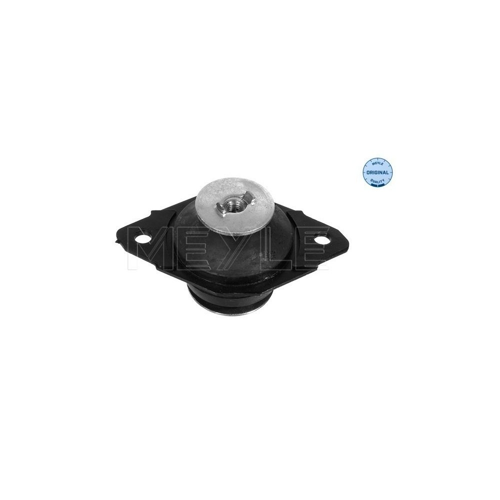 meyle: Lagerung, Motor 1001990043