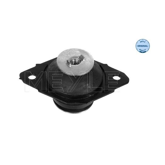 meyle: Lagerung, Motor 1001990043