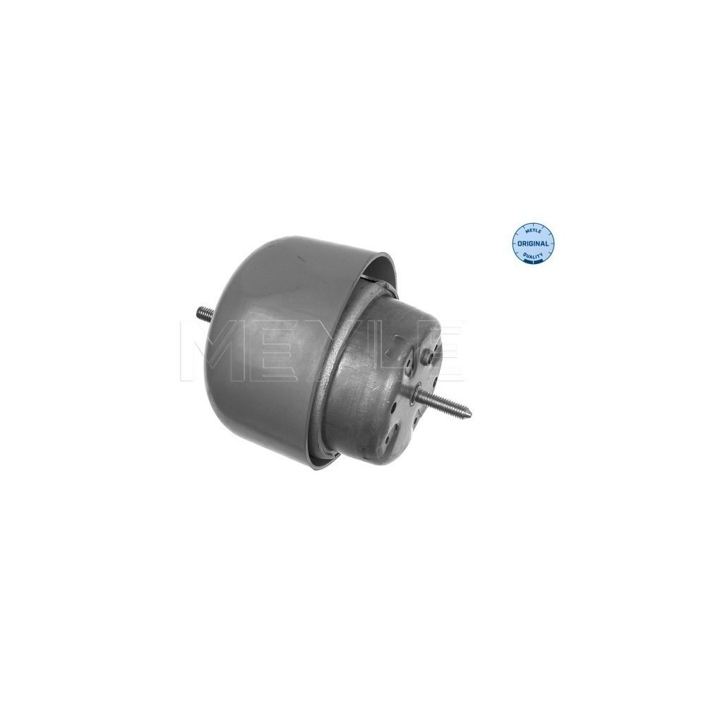 meyle: Lagerung, Motor 1001990048