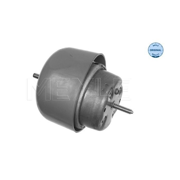 meyle: Lagerung, Motor 1001990048