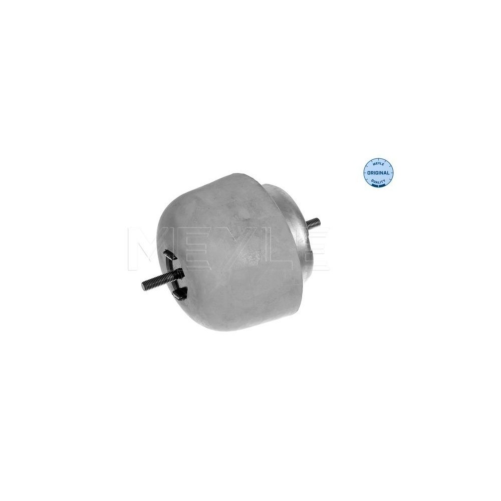 meyle: Lagerung, Motor 1001990056