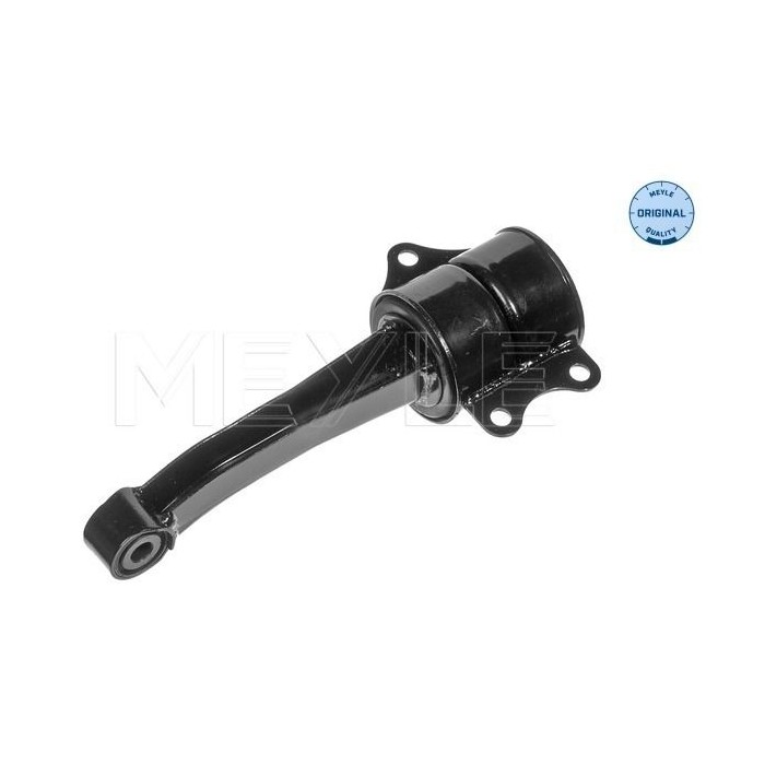 meyle: Lagerung, Motor 1001990065