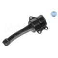 meyle: Lagerung, Motor 1001990065