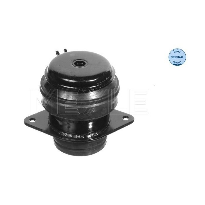 meyle: Lagerung, Motor 1001990073