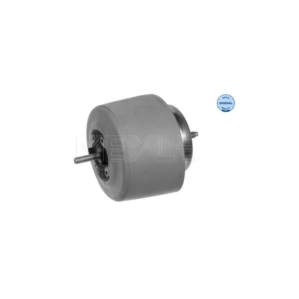 meyle: Lagerung, Motor 1001990083