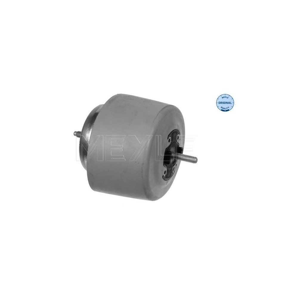 meyle: Lagerung, Motor 1001990084