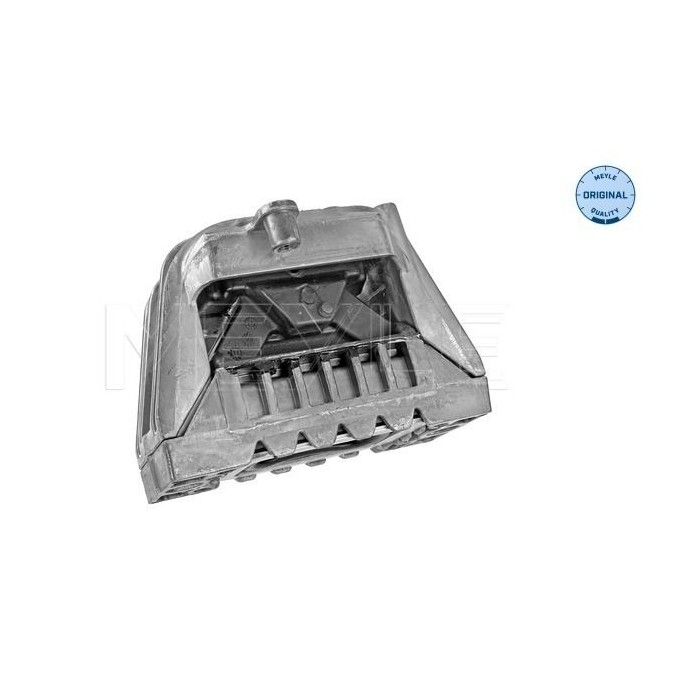 meyle: Lagerung, Motor 1001990108