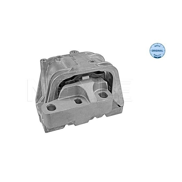 meyle: Lagerung, Motor 1001990108