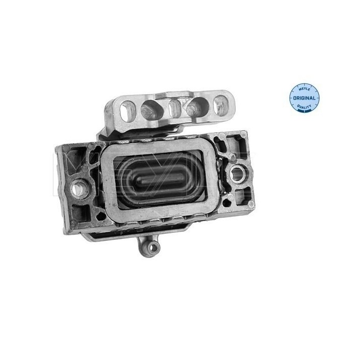 meyle: Lagerung, Motor 1001990113