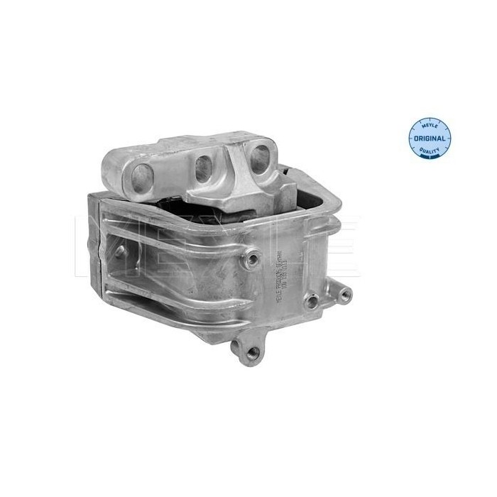 meyle: Lagerung, Motor 1001990113