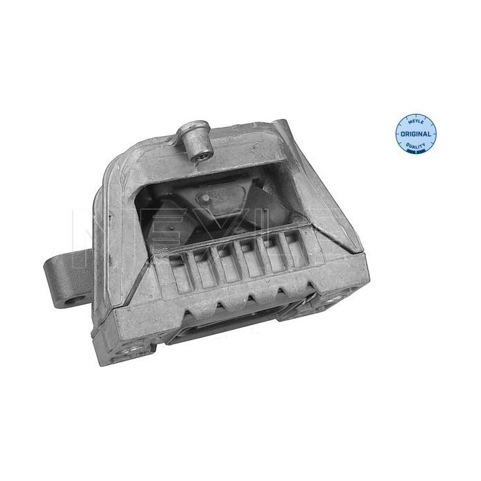 meyle: Lagerung, Motor 1001990122
