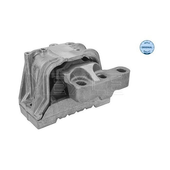 meyle: Lagerung, Motor 1001990122