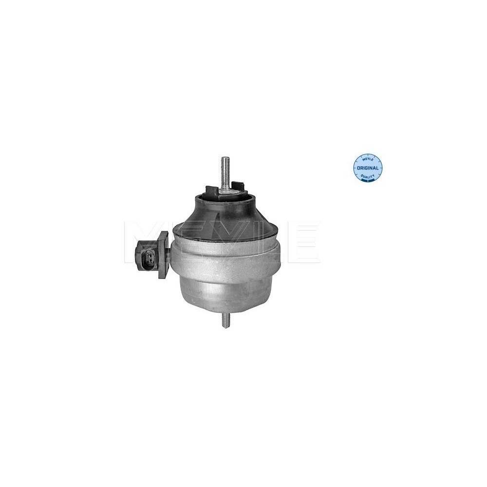meyle: Lagerung, Motor 1001990134
