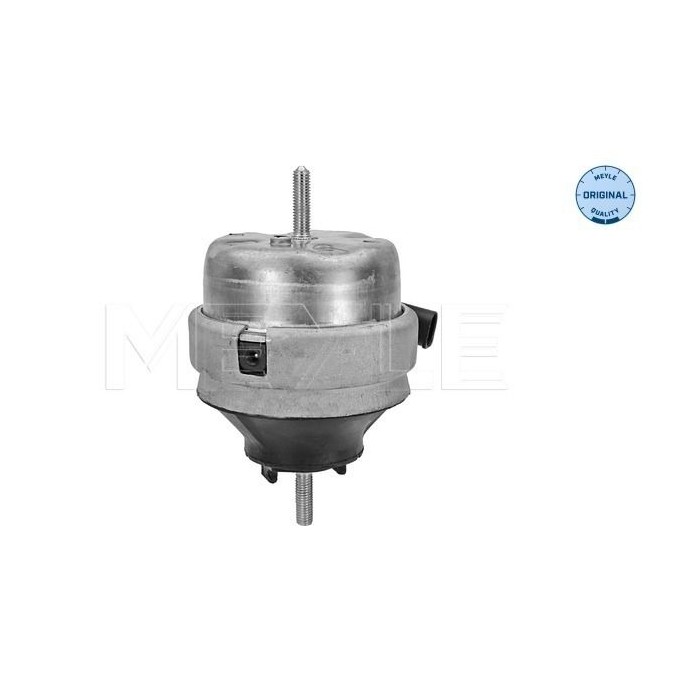 meyle: Lagerung, Motor 1001990134