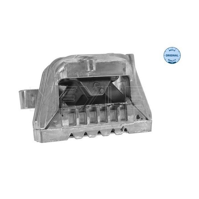 meyle: Lagerung, Motor 1001990141