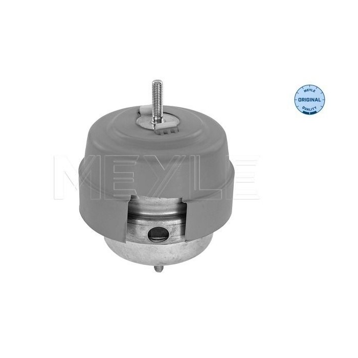 meyle: Lagerung, Motor 1001990189