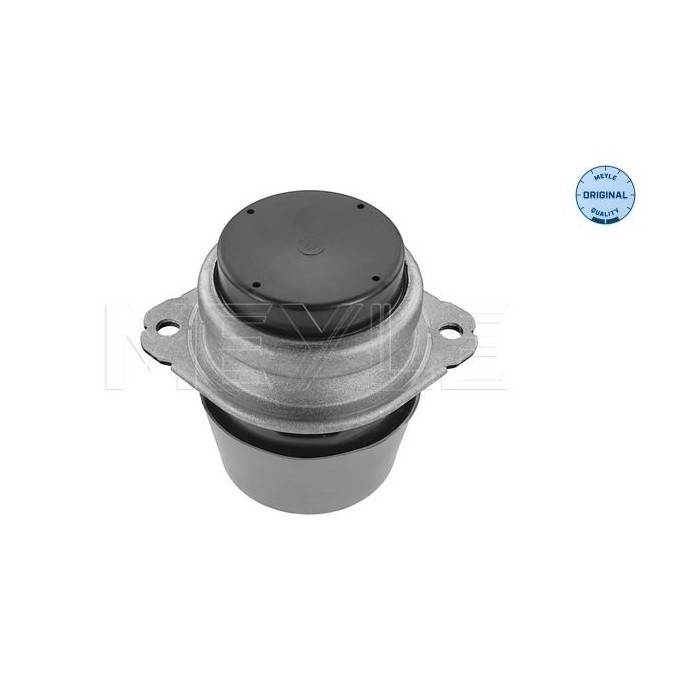 meyle: Lagerung, Motor 1001990190