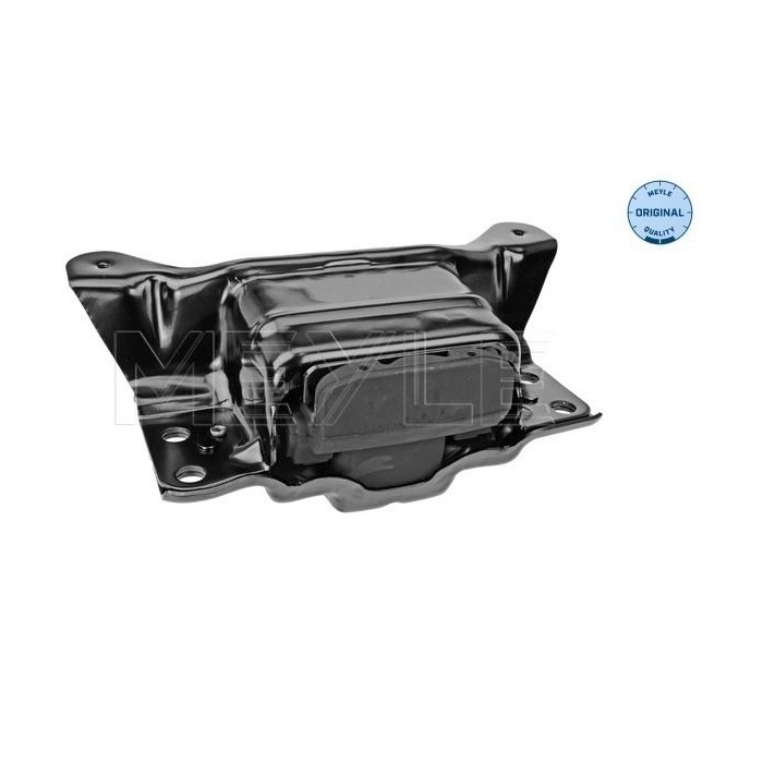 meyle: Lagerung, Motor 1001990200