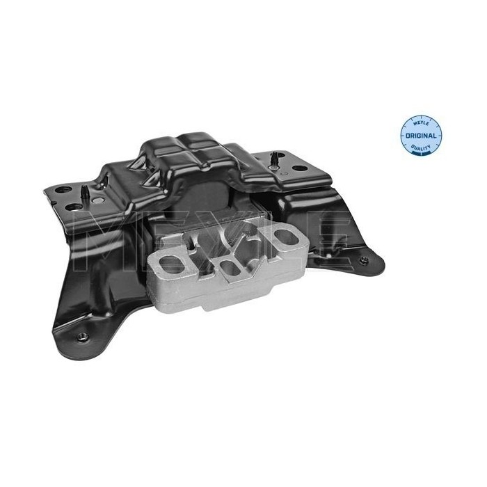 meyle: Lagerung, Motor 1001990205