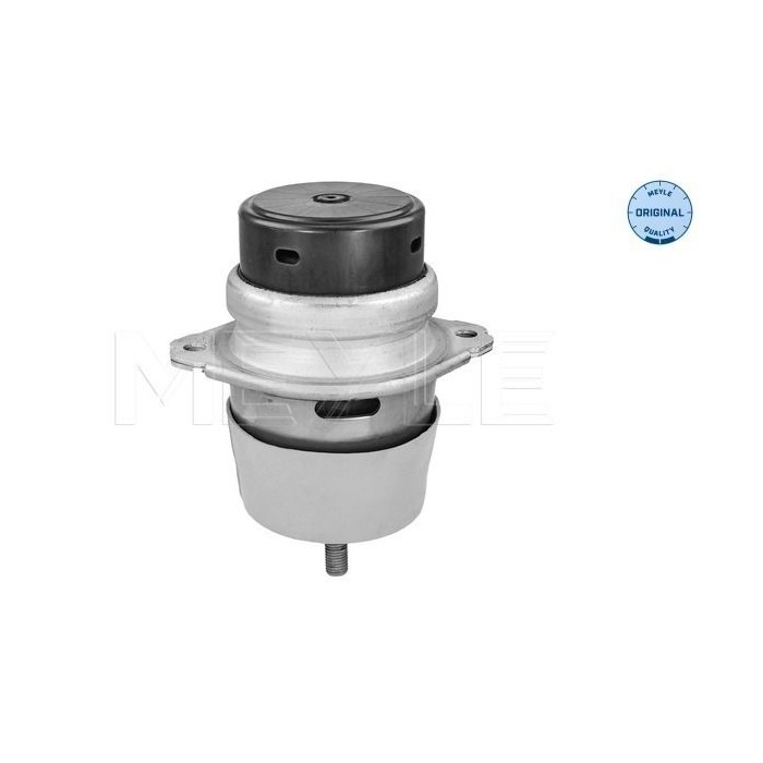 meyle: Lagerung, Motor 1001990215