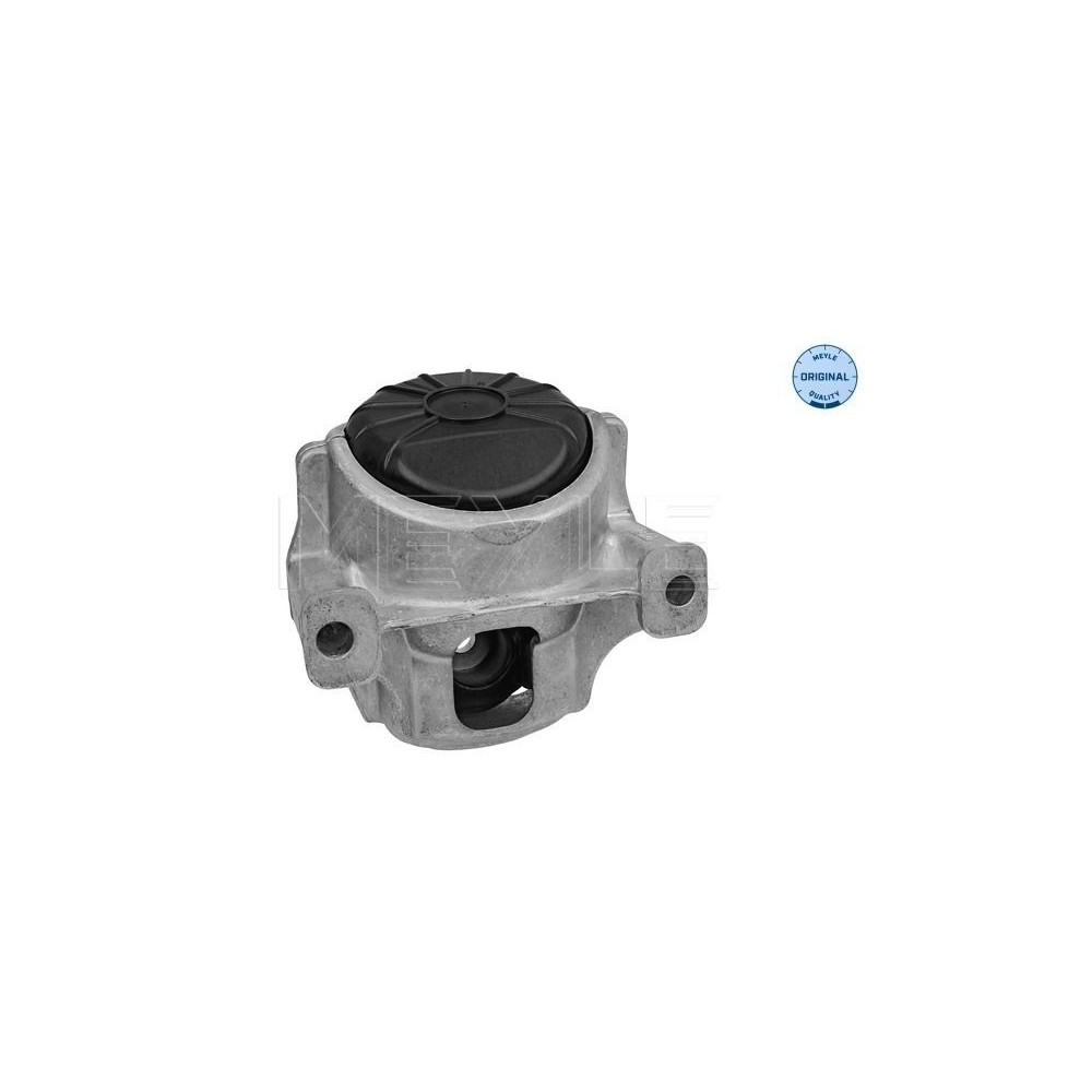 meyle: Lagerung, Motor 1001991001