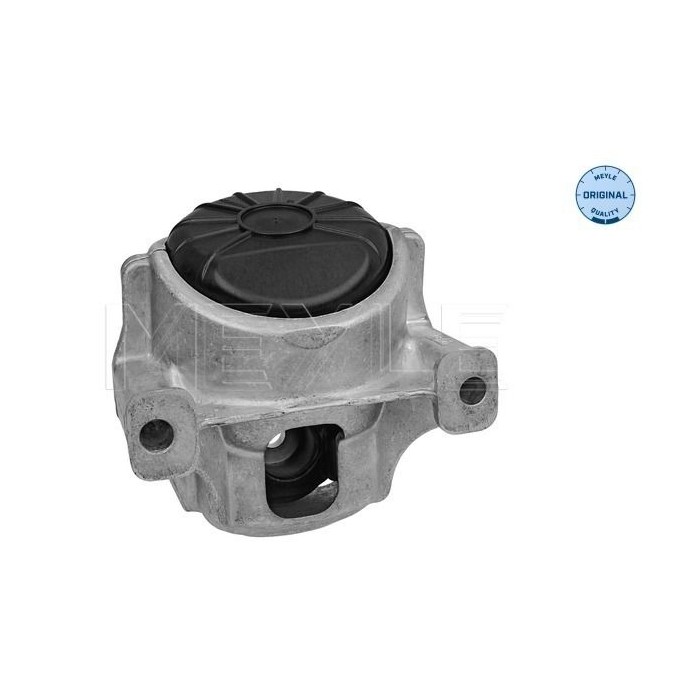 meyle: Lagerung, Motor 1001991001