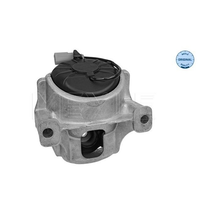 meyle: Lagerung, Motor 1001991004