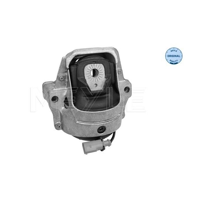 meyle: Lagerung, Motor 1001991004