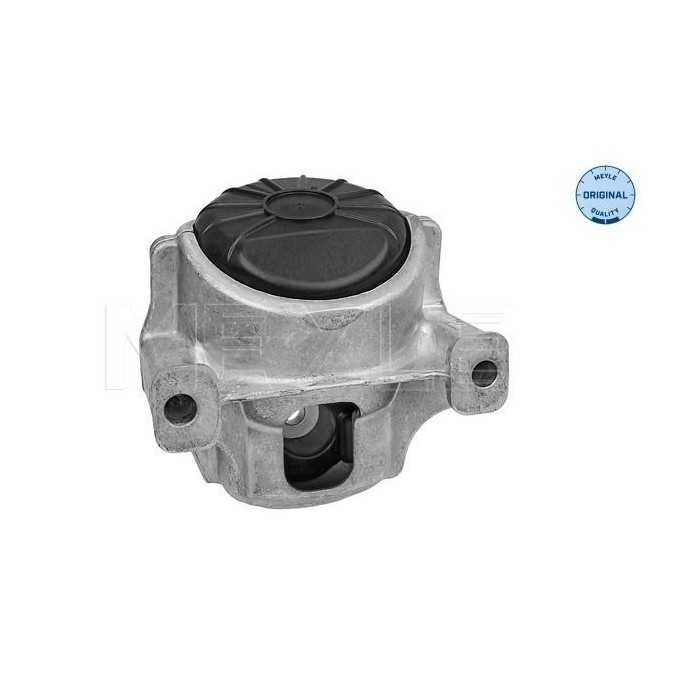 meyle: Lagerung, Motor 1001991007