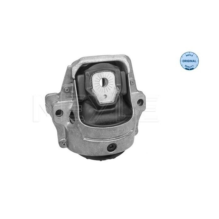 meyle: Lagerung, Motor 1001991007