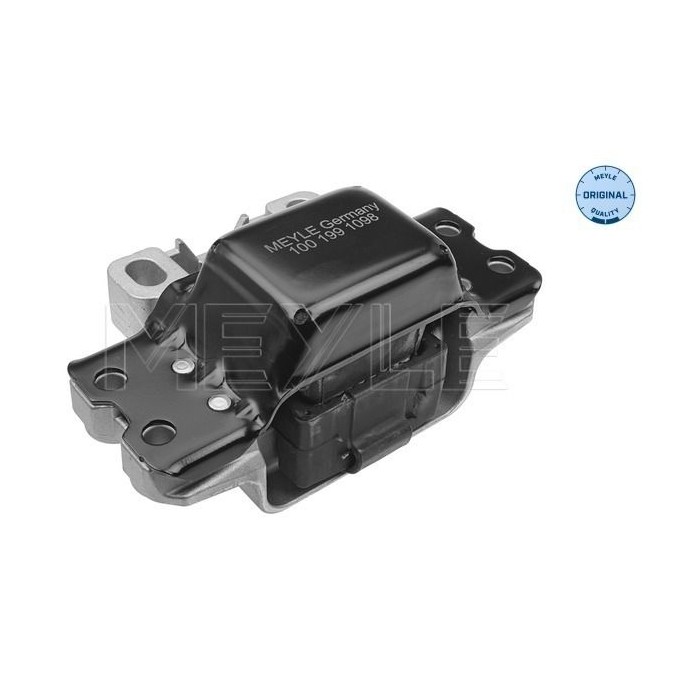 meyle: Lagerung, Motor 1001991098