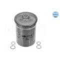 meyle: Kraftstofffilter 1002010010