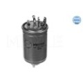 meyle: Kraftstofffilter 1002010011