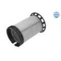 meyle: Kraftstofffilter 1003230027
