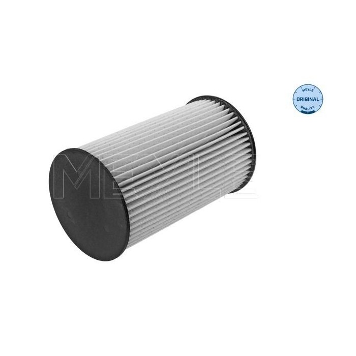 meyle: Kraftstofffilter 1003230028